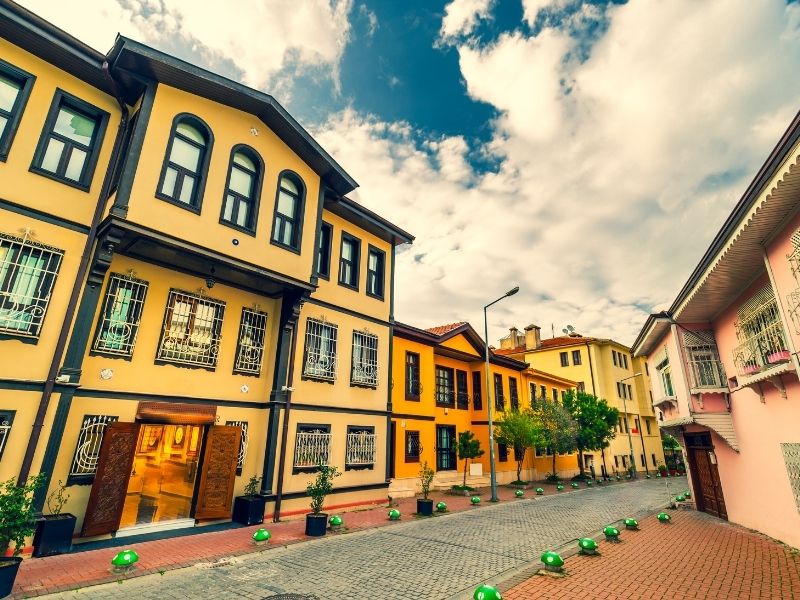 bursa